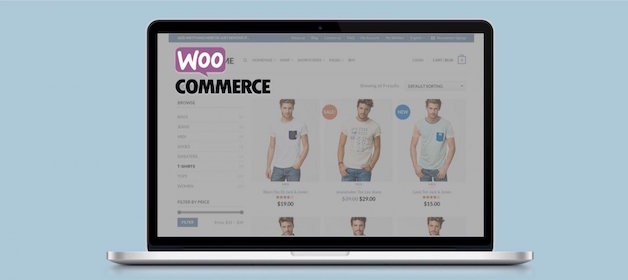 Best WooCommerce Themes 2015 E1422103041178