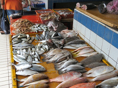 Fish Market